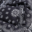 Paisley Puffer Vest