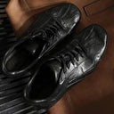 Archive 79 Low Trainer