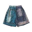 Paisley Parade Shorts