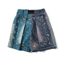 Paisley Parade Shorts