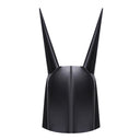 Duo Dunce Cap