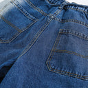 Permanent Fray Shorts