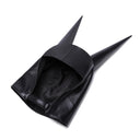 Duo Dunce Cap